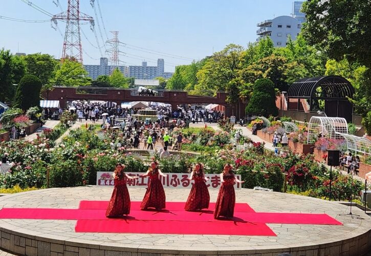 薔薇が咲くフラワーガーデンで南江戸川ふるさとまつり（画像1）